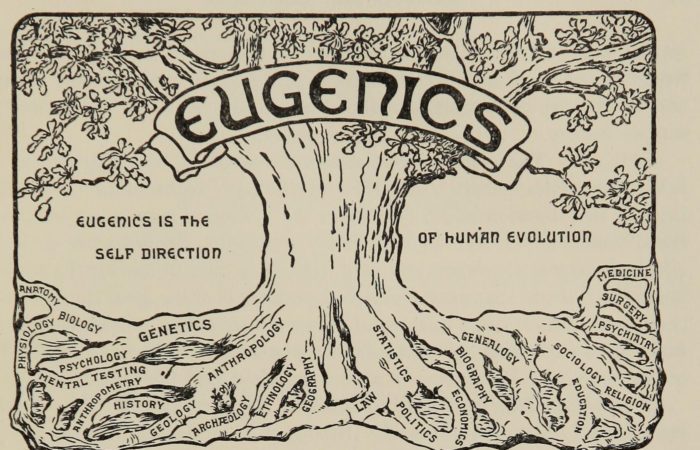 The image shows a black and white illustration of a tree, with Eugenics written across it, and text stating that eugenics is the next evolution.