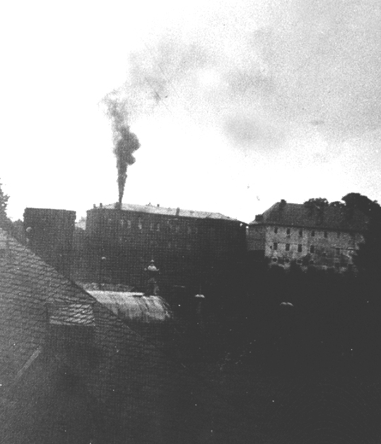 The black and white photograph shows the euthanasia center at Haldemar with dark smoke coming out of the chimney stacks.
