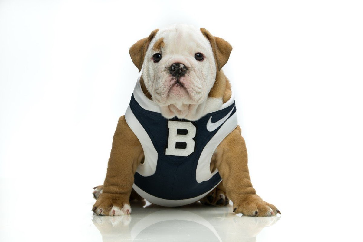 Owen Keane tweet media