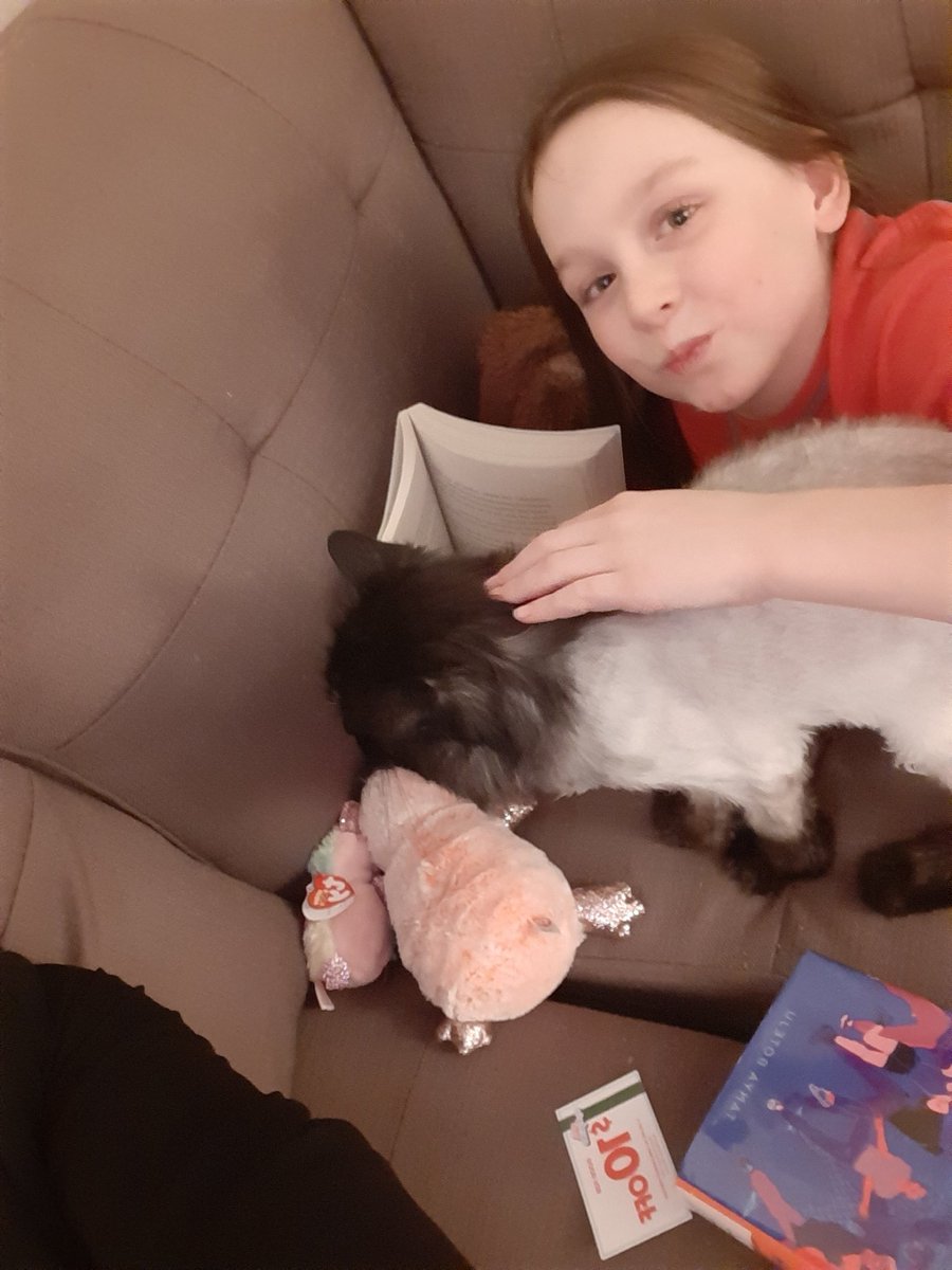 senior_mrs's tweet photo. This tweet has so many things I love: 1. @Gators_Read book 2. @whitbylibrary book 3. Chucky 4. the cat 5. Sparkly stuffies 6. my couch 7. a coupon #FamilyLiteracyDay #ReadFor15Durham https://t.co/fANYQA2BRT