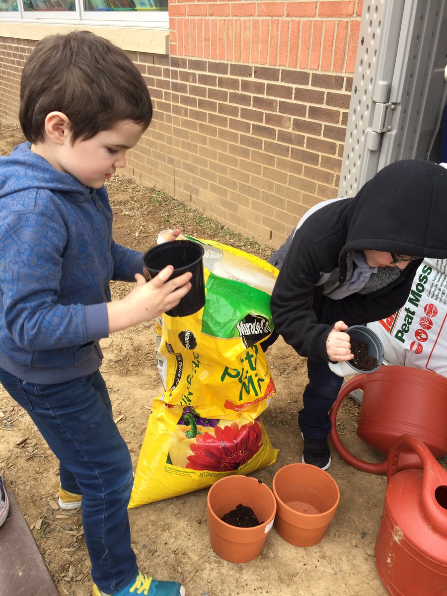 Our eager botanists can’t wait for our baby spider plant to sprout more roots. They have a pot of soil waiting.