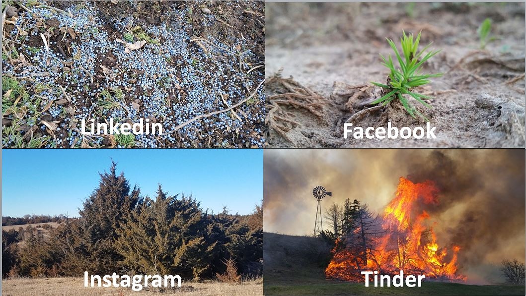 We didnt want to miss out on the viral #dollypartonchallenge #deadcedarsociety