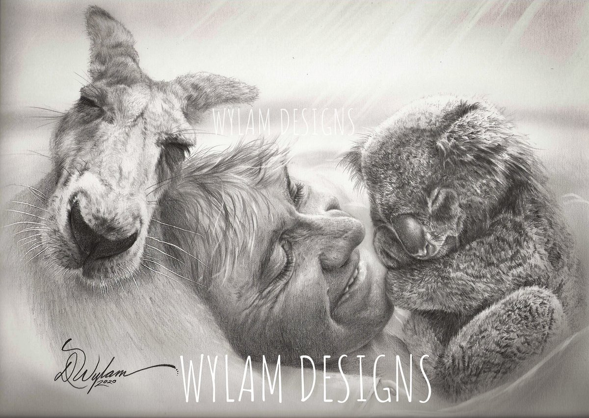 Metal7Head20's tweet photo. @BindiIrwin @wildwarriors @AustraliaZoo https://t.co/74MZpXYKZp