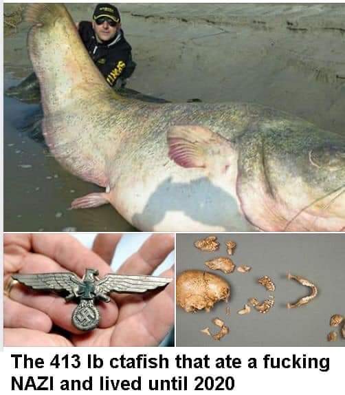 COMPLETEANAR's tweet photo. Praxis fish https://t.co/lBBg6qjv0s https://t.co/nSQlR2uxTL