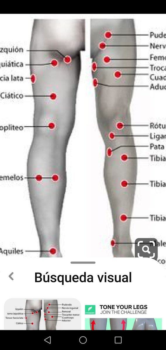 olgerzamora's tweet photo. Puntos de biomagnetismo importantes de las puernas. https://t.co/C8jJxSnw7W