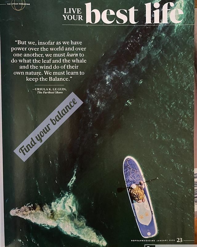 The Paddleboard Co. tweet media