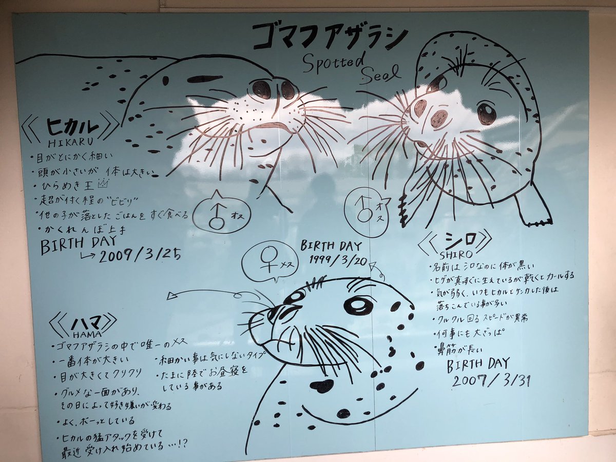 めーすけ 手書きっぽい看板がかわいかったなー 京都水族館 手書き看板 イラスト