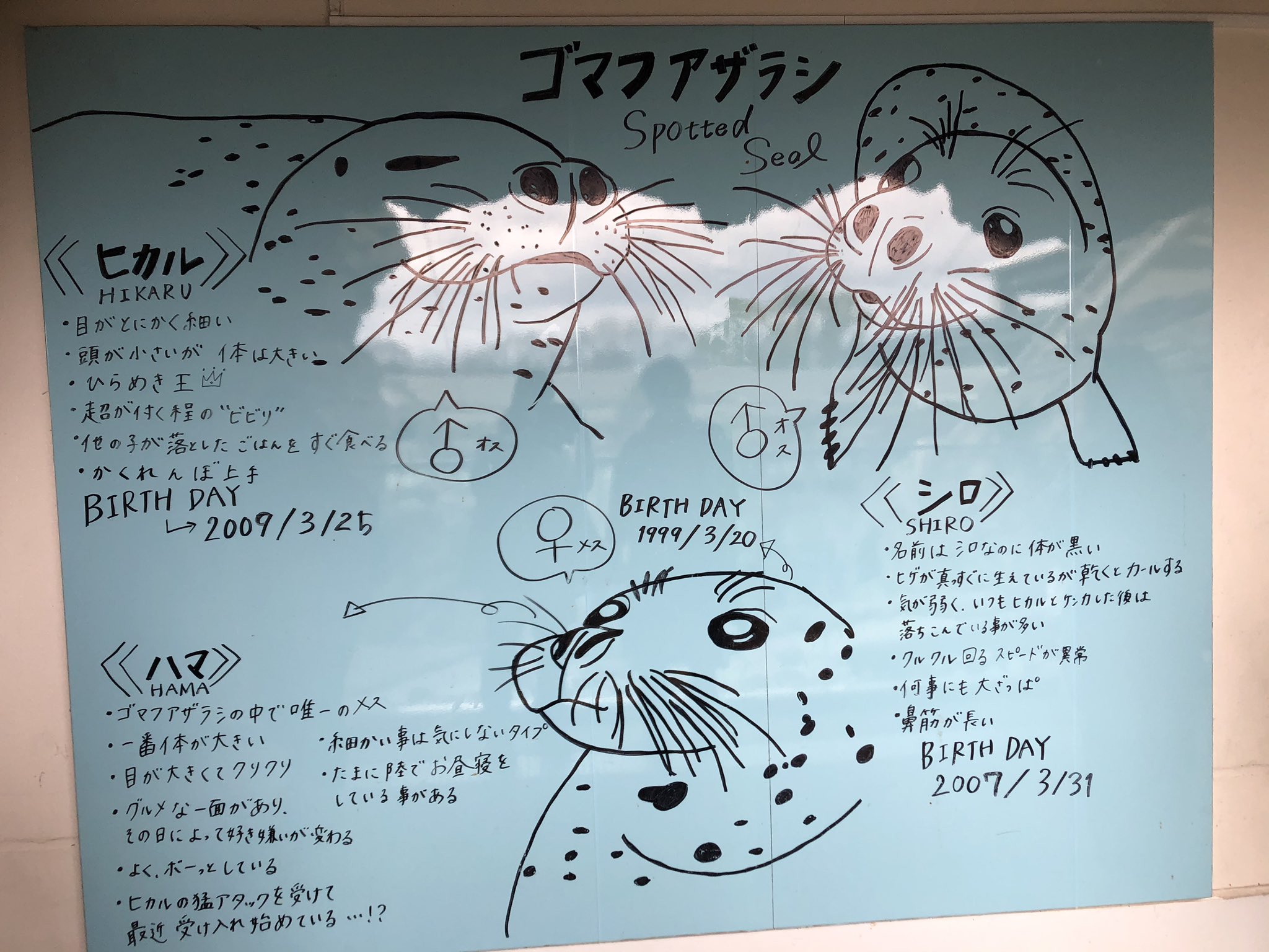 めーすけ 手書きっぽい看板がかわいかったなー 京都水族館 手書き看板 イラスト T Co Ojsh9lh8kw Twitter