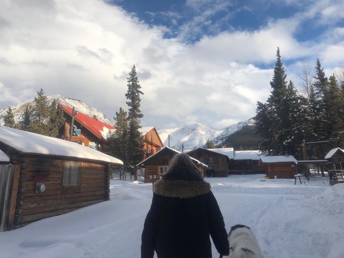 SarahYoungSF's tweet photo. Day 4 - Watson Lake to Fort Nelson. 300 ish miles. Up and over the Rockys into #britishcolumbia. #anchorage to #Oregon #roadtrip #alcanhighway #canada #dogsofinstigram https://t.co/88x4AqdLBO