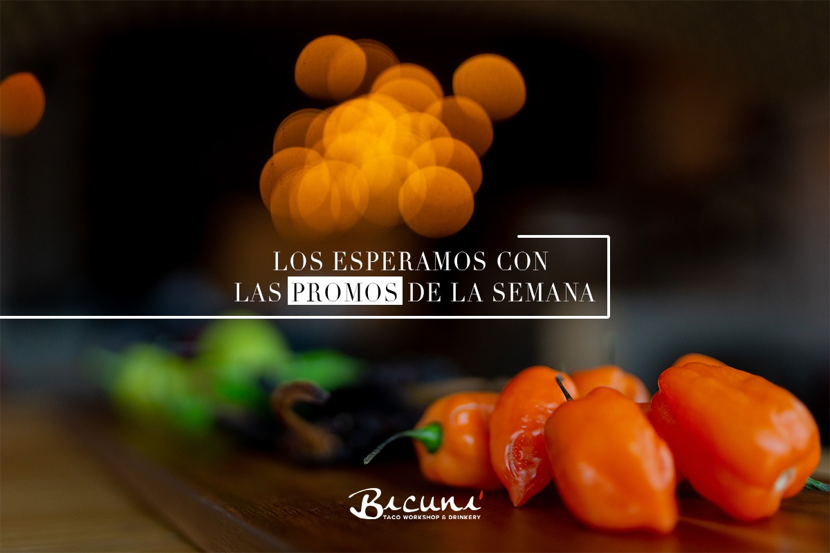bicuniqro's tweet photo. Está  por terminarse el primer mes del año, no faltes a las promos de la semana #CentroSur #Querétaro #TacosGuapos #Bicuni
.
.
.
#TacoWorkshop #TacoRevolution #Queretaro #Mixología #realfood #foodiemx #gastronomiamx https://t.co/pkJ0JaUwiL