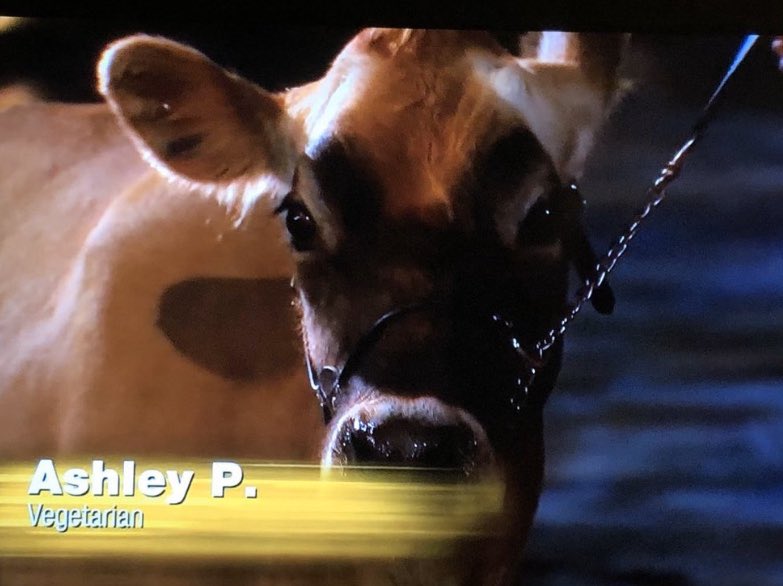 HOPING SHE ALSO RETURNS TONIGHT  #TheBachelor