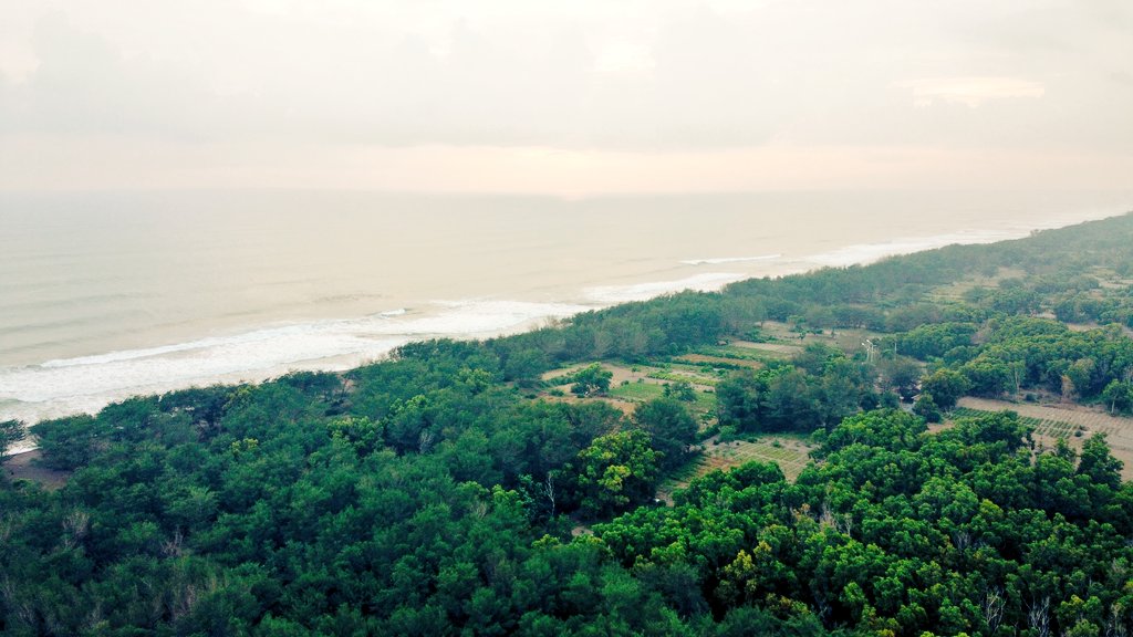 jelajahbantulid's tweet photo. Selamat pagi warga twitter yg berbahagia, selalu dinanti kunjungannya di Pantai Goa Cemara .

#GoaCemara #DinparBantul #JelajahBantul

📷 @primahapsari83 https://t.co/yYJ1d2PLXr