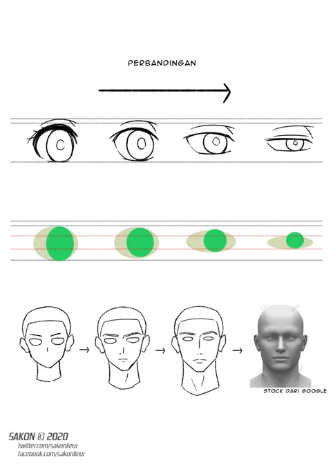 Eyes shape and size comparison from previous tweet

#SakonStockS #drawing #reference #art 
