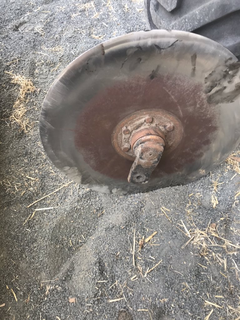 James Schubert☘️🌾🐑 tweet media