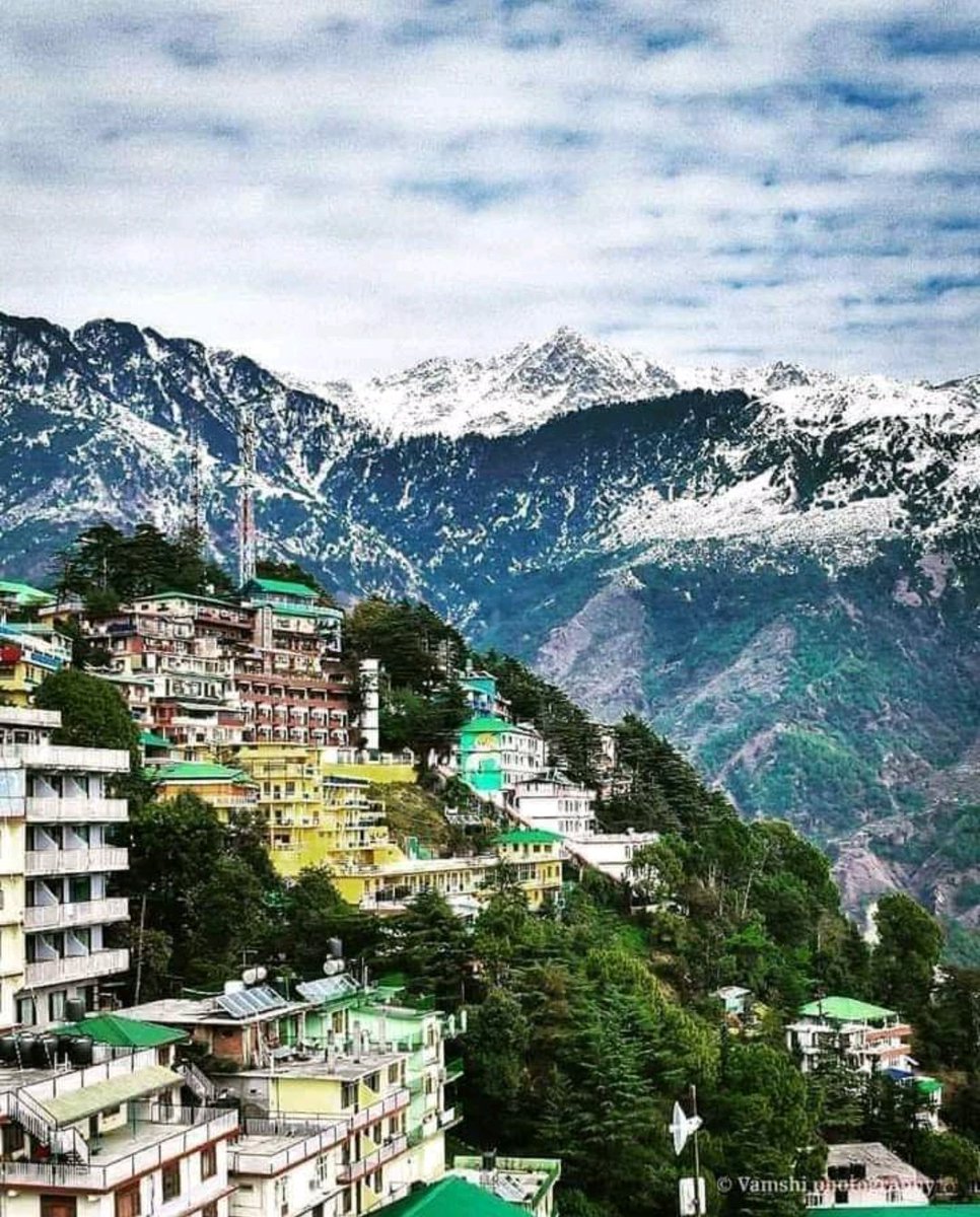 'To get through hardest journey we need to take only one step at a time, but we must keep on stepping'. 
#Dharamashala ❤️
#HimachalPradesh 💖