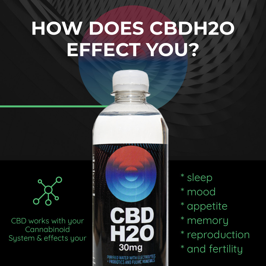 CBD_H2O's tweet photo. How does CBDH2O effect your cannabinoid system? Well that's a bit of a complex question with a simple answer. CBD works in effecting your sleep, mood, appetite &amp; memory. #cannabinoids #cannabinoid  #cannabinoidreceptors #cannabinoidscience #cannabinoidsevolved #cannabinoidtherapy https://t.co/JuTdGej002