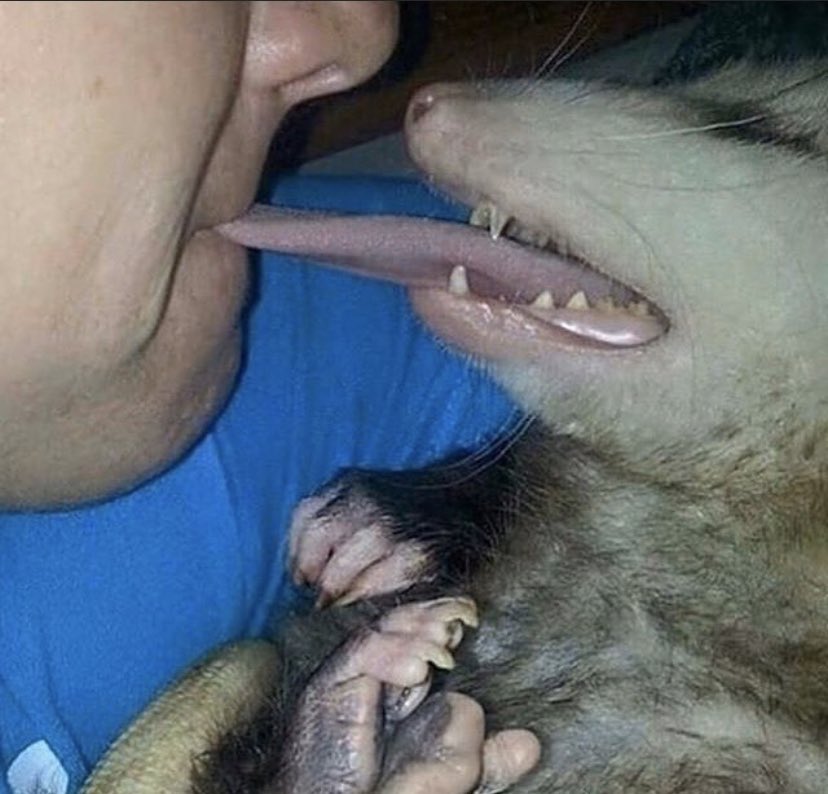 BallerSeb's tweet image. idk who needs to hear this but clean under your eyeballs they’re so dirty and gross 🤢😦