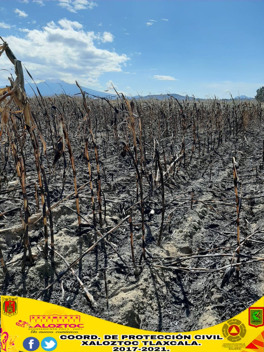PcXaloztoc's tweet image. #ControlDeIncendio | @PcXaloztoc y @JovConFuturo, acudimos a sofocar incendio en terrenos por quema de pastizal no controlada. Recomendamos que no lo hagan sin la supervisión de nosotros. 
Ante cualquier emergencia llamar al: 241 115 15 13 y 41 3 03 00.
#ProtecciónCivilXaloztoc