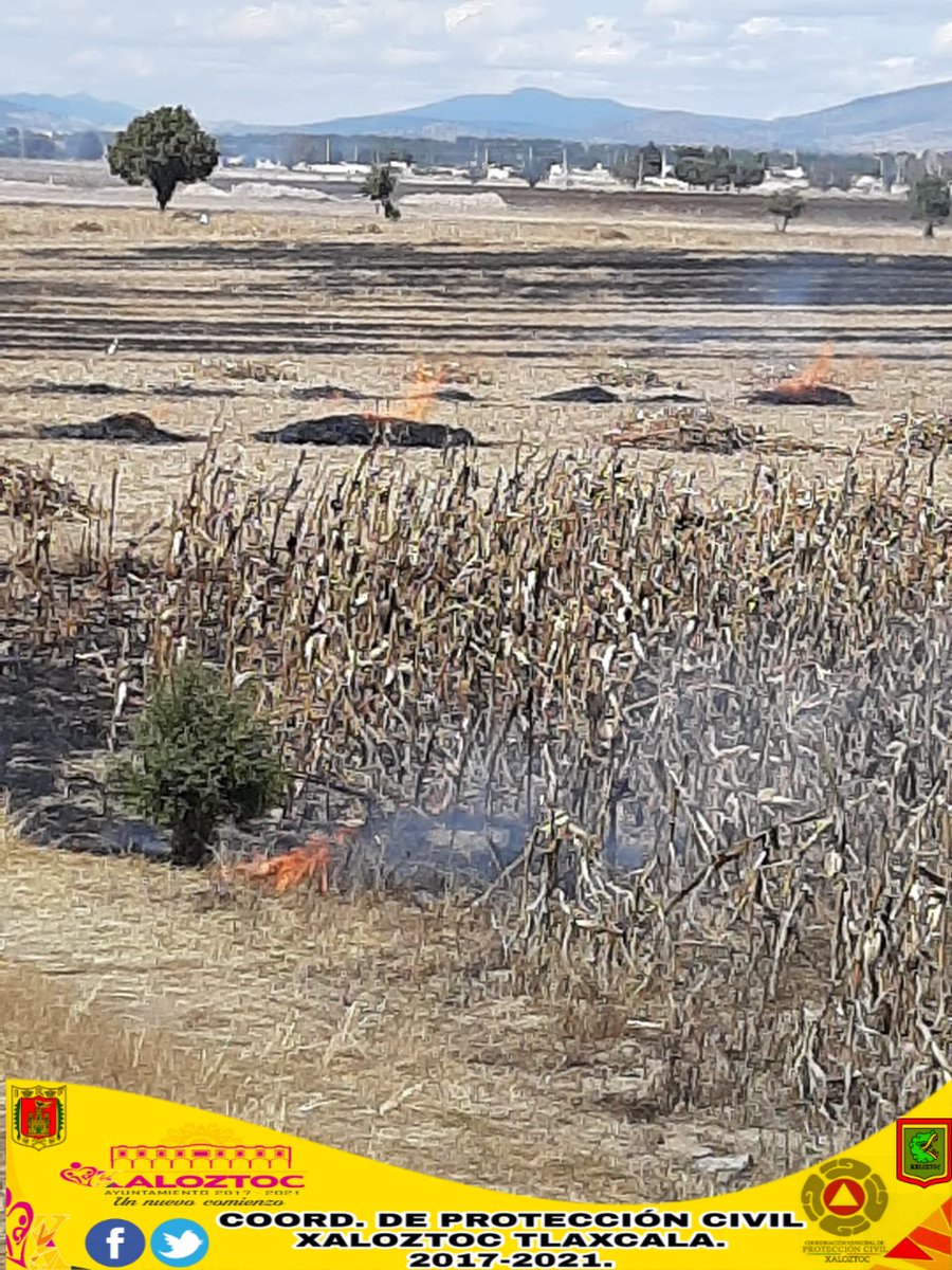 PcXaloztoc's tweet image. #ControlDeIncendio | @PcXaloztoc y @JovConFuturo, acudimos a sofocar incendio en terrenos por quema de pastizal no controlada. Recomendamos que no lo hagan sin la supervisión de nosotros. 
Ante cualquier emergencia llamar al: 241 115 15 13 y 41 3 03 00.
#ProtecciónCivilXaloztoc