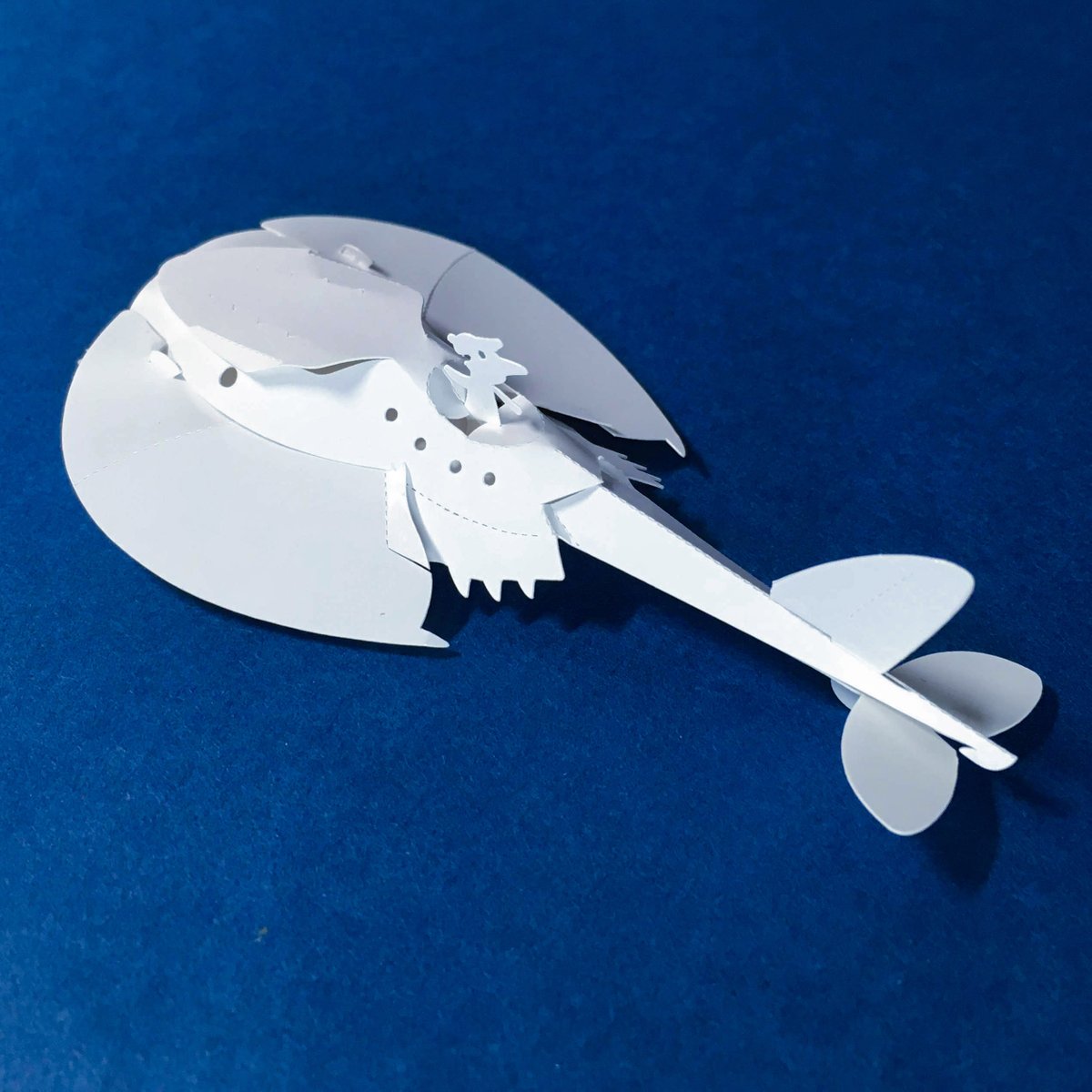 Komei_Iwasaki's tweet photo. カブトガニジェット機 試作 #カブトガニ #horseshoecrab #古代生物 #Ancientcreatures
#たのしいひこうき #ペーパークラフト #ペーパーアート #飛行機 #papercraft #cafsocal #工作 #craft #paperart #papertoy #おもちゃ #tintoy #funnyplane https://t.co/bqIK59OCVC