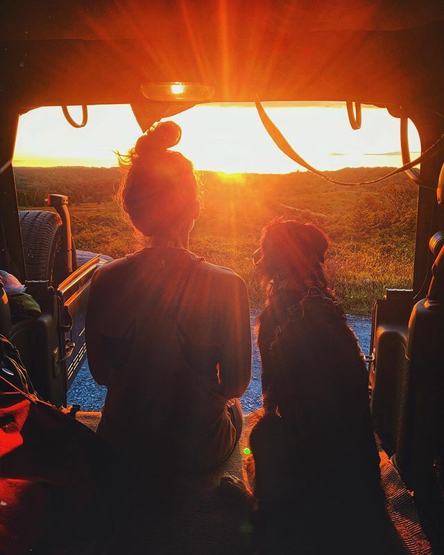 In case anyone was wondering, there are 41 days until daylight savings. I don’t know about you but I sure am ready to spring forward! 🌞 / #DollySods + #JeepDog ift.tt/37zFptX