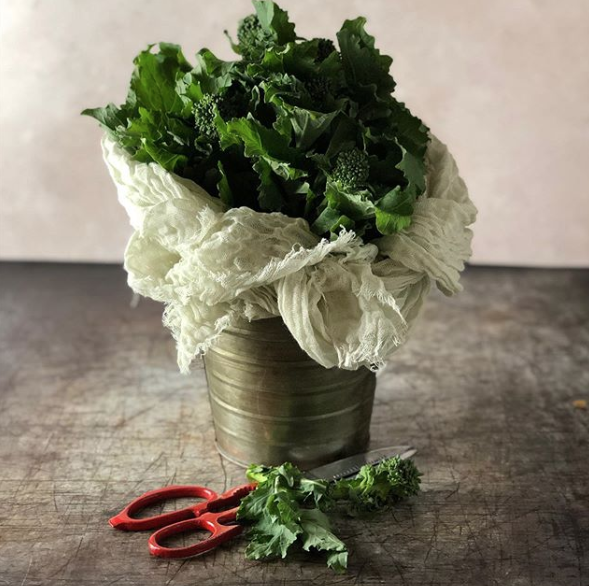 EatBroccoliRabe's tweet photo. Fabulousness..and 💚 the hashstags.
RT @aphoto3: A new way to enjoy broccoli rabe.
#snap_ish #seeing_the_ordinary #weekendwithtextures #thislittlemoment_ #lovelysquares #my_creative_square #still_life_gallery #stilllifecultivated #warmandearthyfood… https://t.co/wmX1500cO4 https://t.co/7SxkCoZWHl