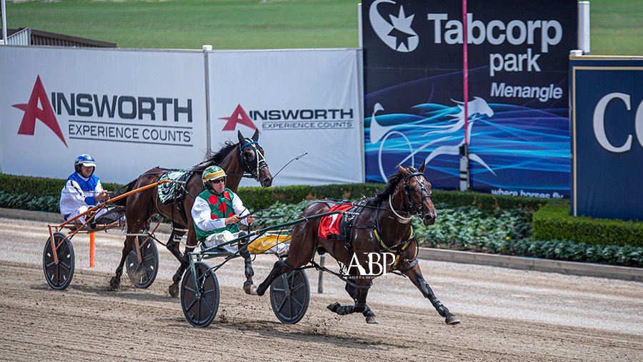 ashbrennanphoto's tweet photo. Race 3 @TPMenangle - ZEUSS BROMAC NZ / @JayJayFarm1 #TheTrots https://t.co/xPCJtIoi8C