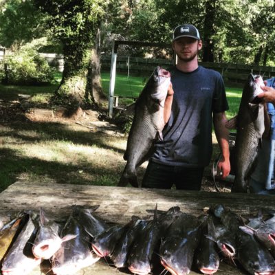 Kev tweet media