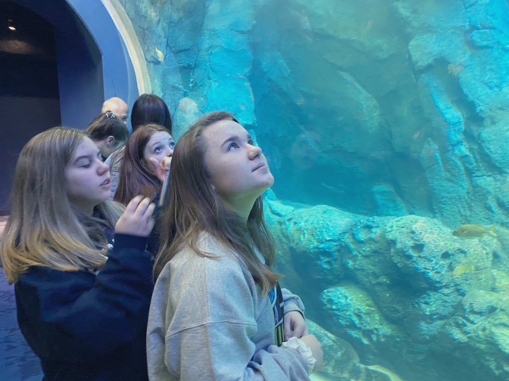 fmssweet's tweet photo. What do learning about sharks, petting sting rays, coloring fish, and bucket hats have in common? A great field trip to the @stlouisaquarium of course!!🦞🐠🦈🐡 https://t.co/YPgy2RPaMP