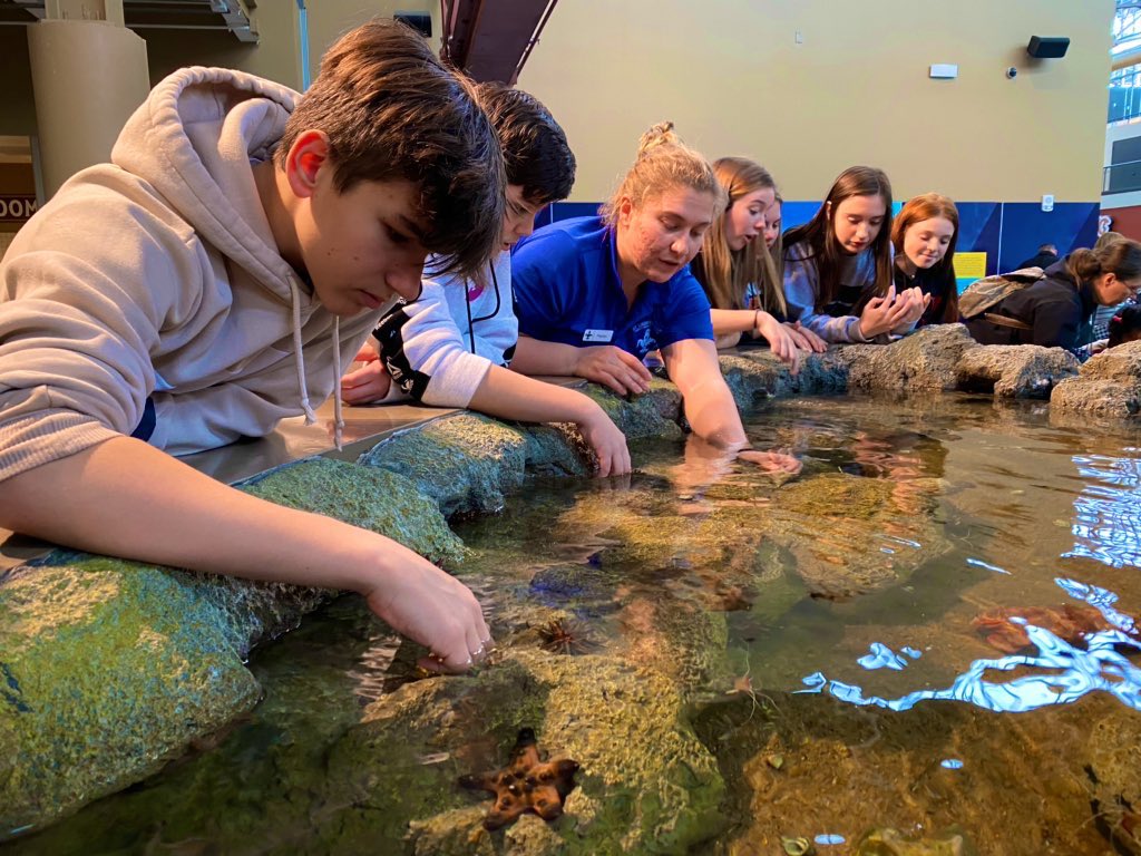 fmssweet's tweet photo. What do learning about sharks, petting sting rays, coloring fish, and bucket hats have in common? A great field trip to the @stlouisaquarium of course!!🦞🐠🦈🐡 https://t.co/YPgy2RPaMP