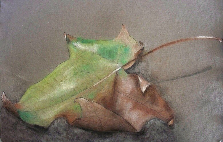 ahiruwu's tweet photo. i once drew a leaf and messed up but im still proud of it https://t.co/DJH5jZV2iP