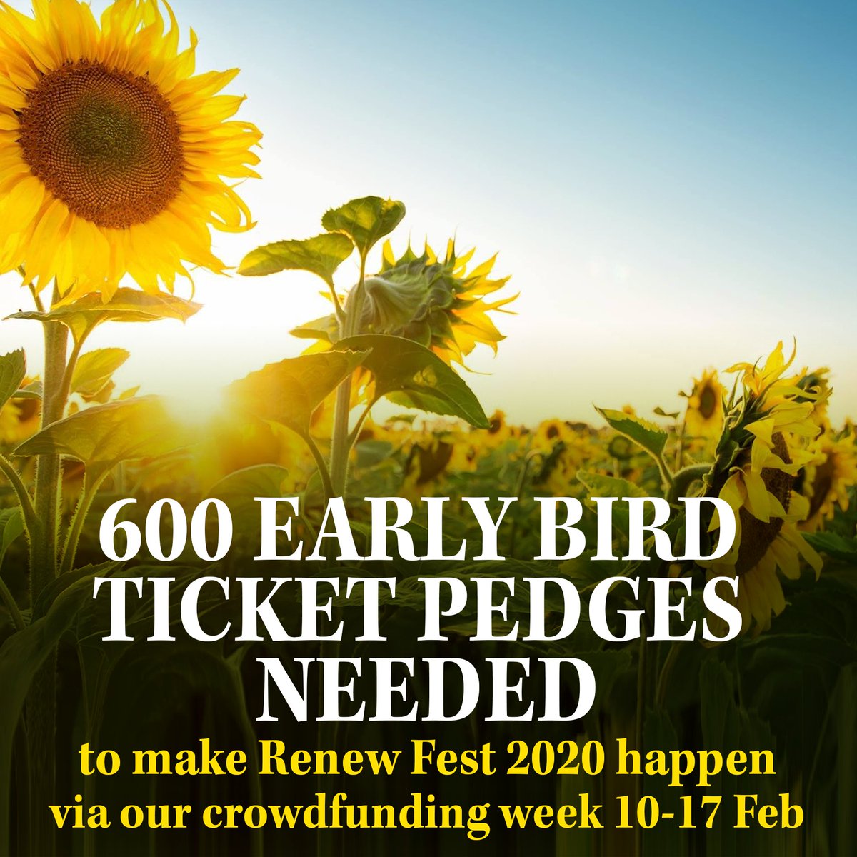 🔅IMPORTANT Update: Renew Fest 2020 needs your help to go ahead 🔅 - mailchi.mp/50b7dd3bba12/b…