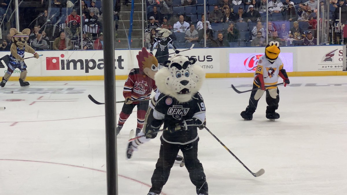 Mom8Moran's tweet photo. Oh! There you are! @KingstonReign https://t.co/JF9ofESlIr