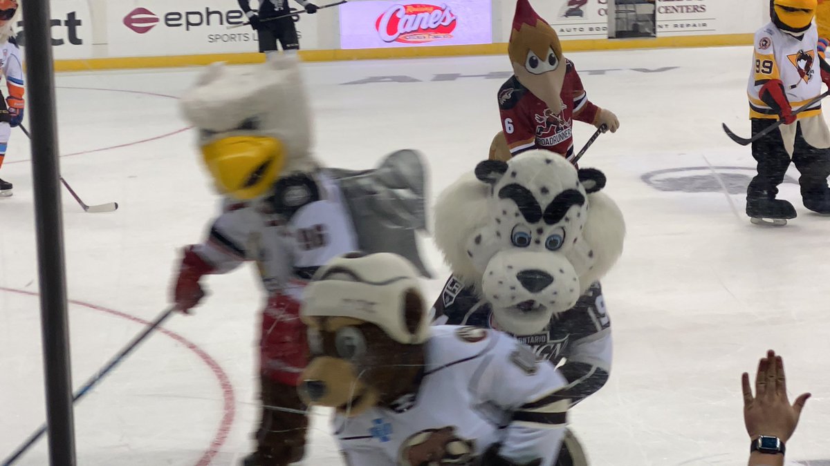 Mom8Moran's tweet photo. Oh! There you are! @KingstonReign https://t.co/JF9ofESlIr