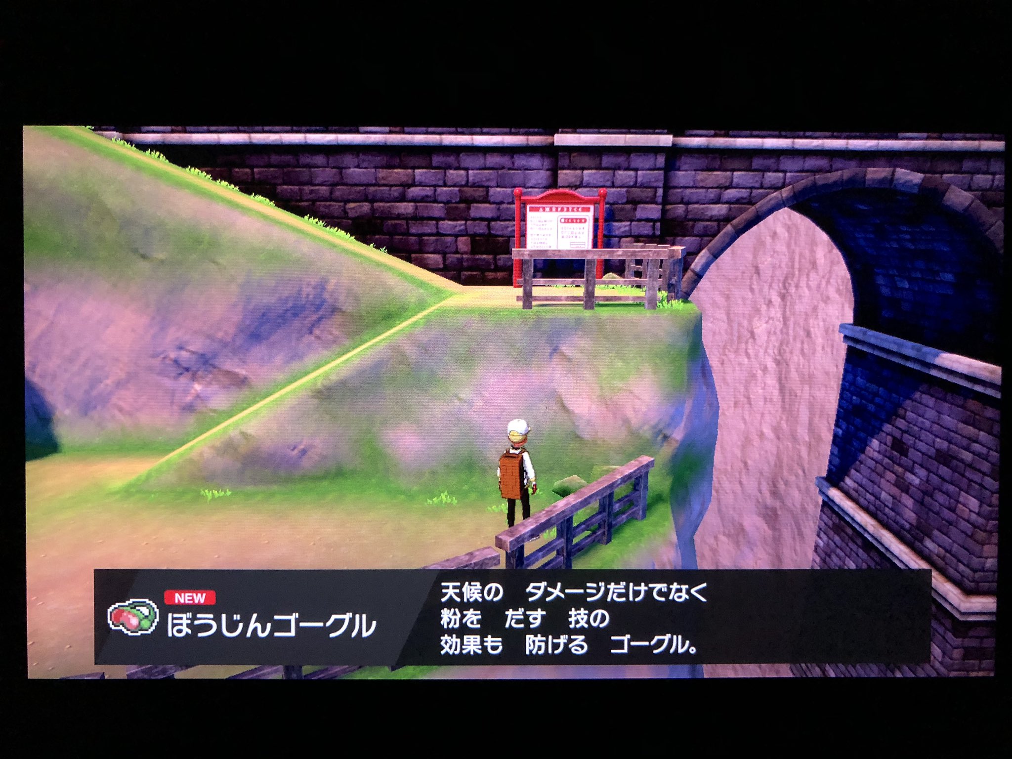 フカヒロ Pixivリクエスト5作目納品 ご依頼はpixivリクエストへ アキラのガラル冒険記 砂嵐だ ひでりや雨の時はほのお みずタイプの威力がそれぞれ上がるが 砂嵐の場合はいわタイプのポケモンの特防が上がるという それは知らなかったな いわ じ