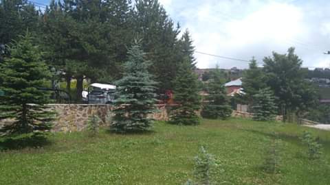 ERDNHAM99401211's tweet photo. GÜNAYDINTRTHABER.ORDU.ÇAMBAŞINDA.YAYLASI.ERDİNÇ.HAMLI. https://t.co/KFmv1Kurq2