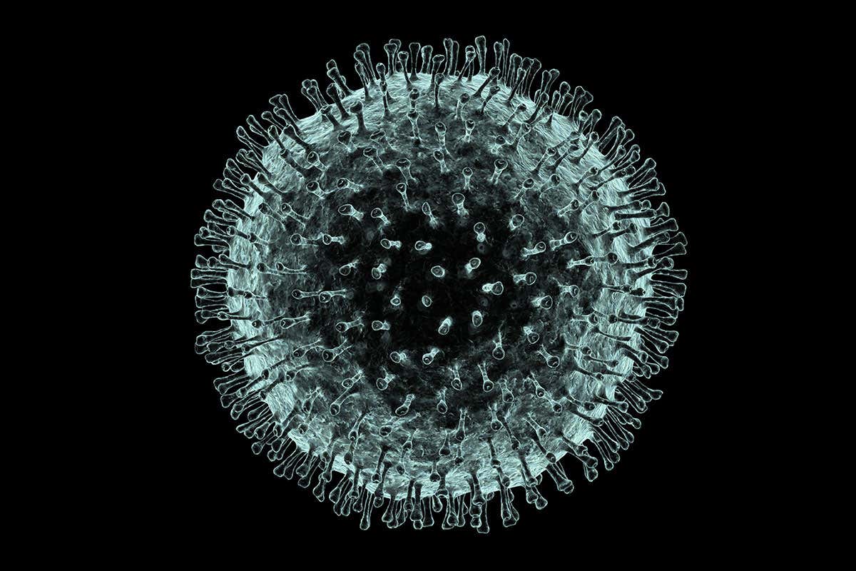 Coronavirus en EU: confirman el primer caso