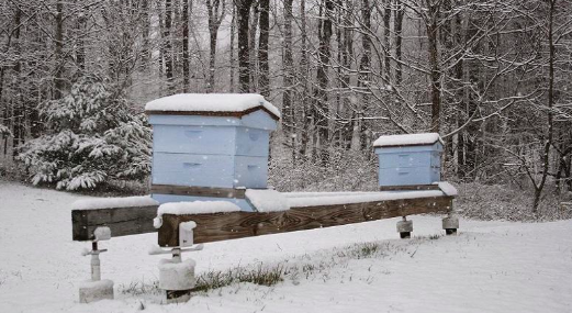 HiveBook's tweet photo. Catherine Barry, Director of Marketing at the @NationalHoney says there have been increases in winter colony losses over the past few years. Last winter, April 2018-April 2019, saw the highest losses in the survey's history at 37.7 percent.
#BeeHealth #BeeBehaviour https://t.co/9YyDtJsEGT