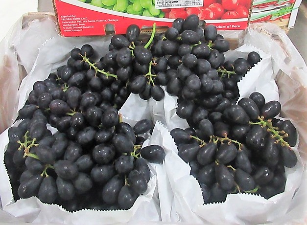 Fanfruit1's tweet photo. Just arrived and undergoing QC at our warehouse, an excellent range of sweet new season Seedless Grapes ready for delivery from this afternoon. 
Excellent quality, Excellent prices with outstanding customer service. https://t.co/yUuXq6CvJM 041-6851757 https://t.co/jeZXSKwUEu