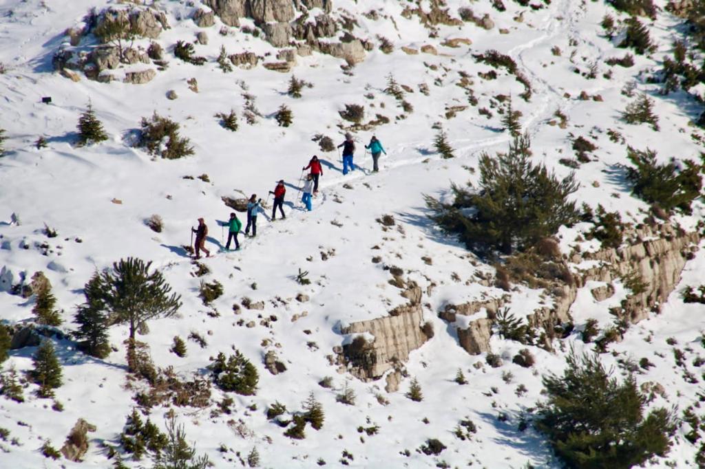 Nothing like leaving the roads and taking the trails for Snowshoeing in our majestic mountains. 🌨❄☀️🎿#ehden #winteractivities #wild #snow #trails #hike #wintersports #explore #nature #breathtakingview #adventure #horshehdenreserve #ehden2020