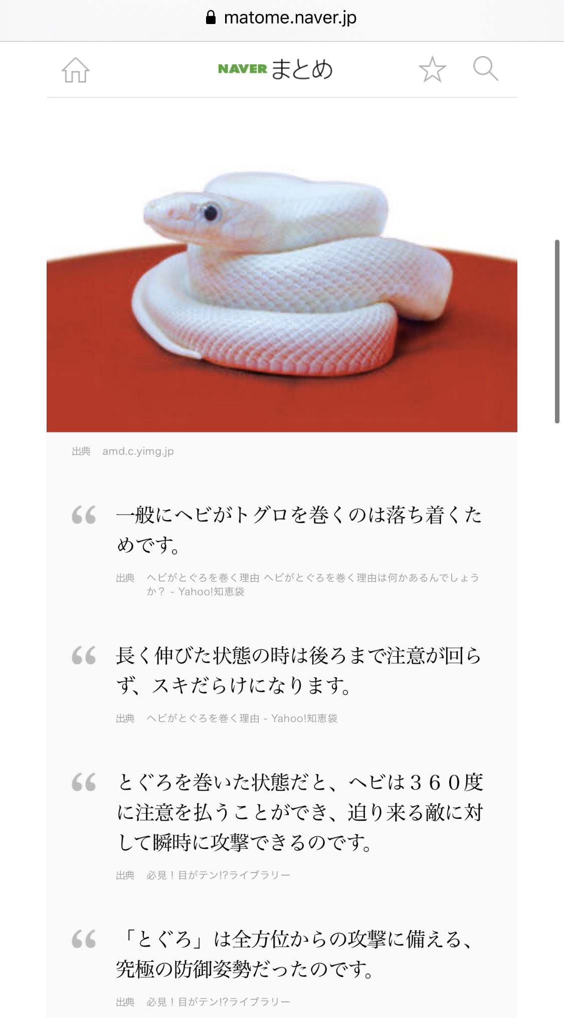 みちこ なんでヘビってとぐろを巻くのか をググった とぐろを巻いた状態だと 360度に注意を払うことができるから だそうです サダイジャってほんとヘビの利点を潰しに潰してる 好き T Co Niopksvl4i Twitter