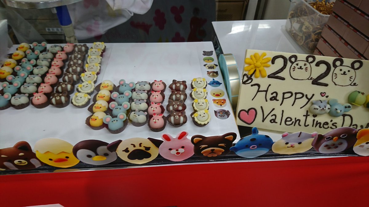 ゴンチャロフアニマルショコラ