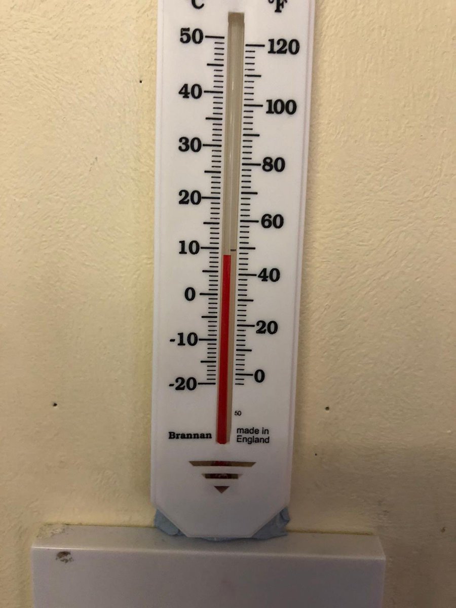 wheresourschool's tweet photo. Monday morning in a prefab at 9.10
#wheresourschool @LorrCliff @AlanFarrell @ClareDalyTD @DarraghOBrienTD @DrJamesReilly @BrendanRyanTD @loreillysf @campaignforleo @McHughJoeTD @MolagaSt https://t.co/m5dW4n1XQb