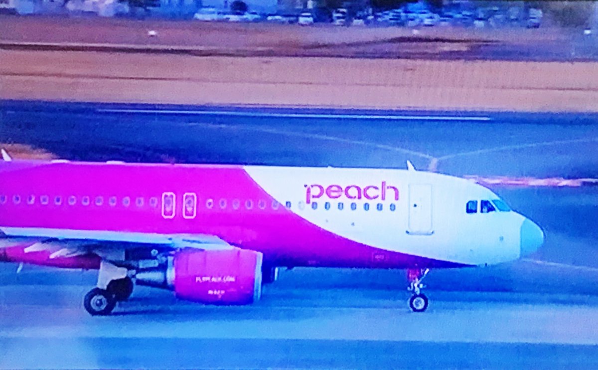 ほんみや ほんとの宮崎 宮崎 関西がもっと身近になります Lcc航空会社ピーチ 1日2往復運行 3月29日から 宮崎 ピーチ