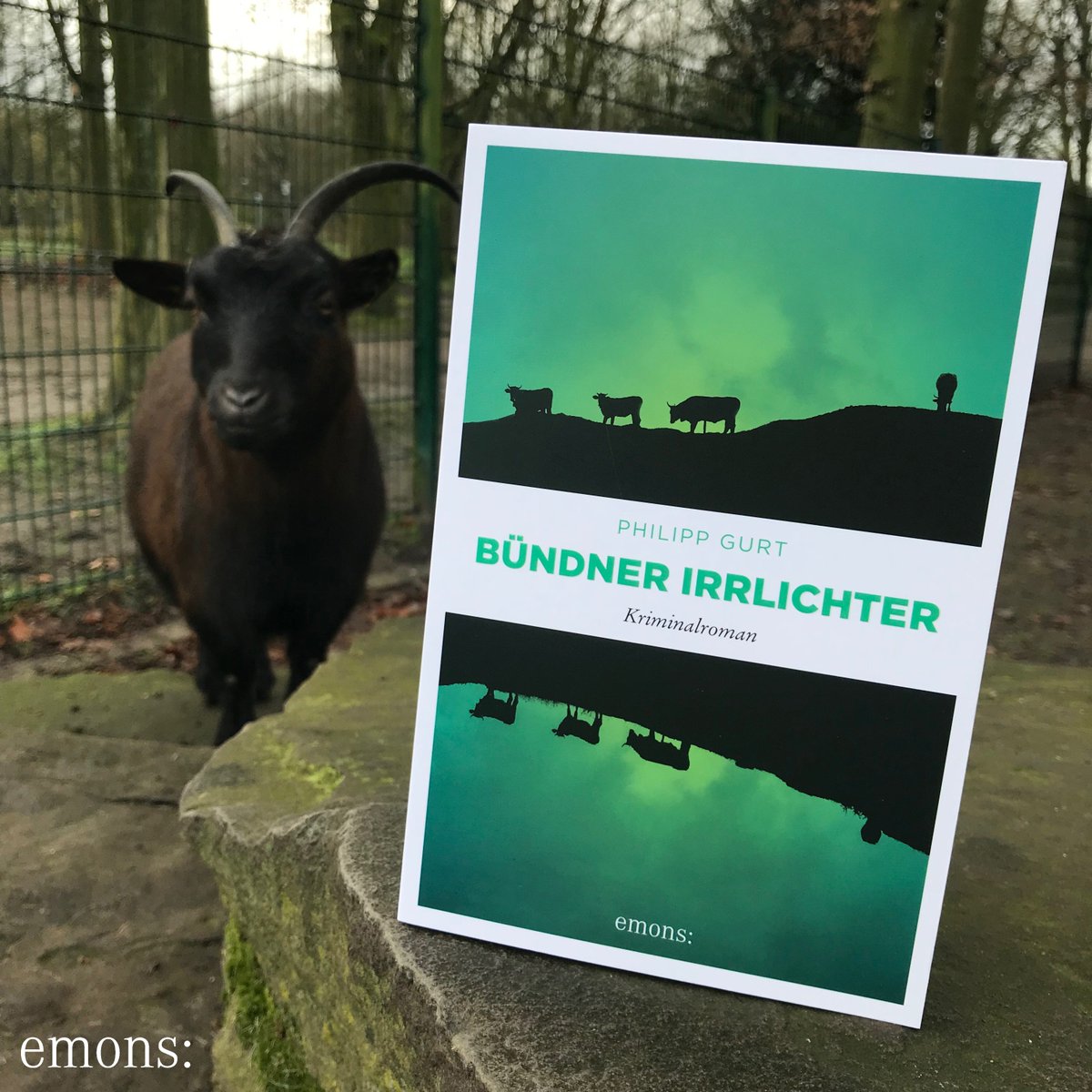 In der Dämmerung geschehen in Chur unglaubliche Verbrechen. Die einzige Überlebende und Zeugin dieser Taten ist eine demente ältere Frau. Giulia de Medici, Chefermittlerin der Kantonspolizei Graubünden, verfolgt eine Spur, die sie zwingt, ihre Familie mit neuen Augen zu sehen …