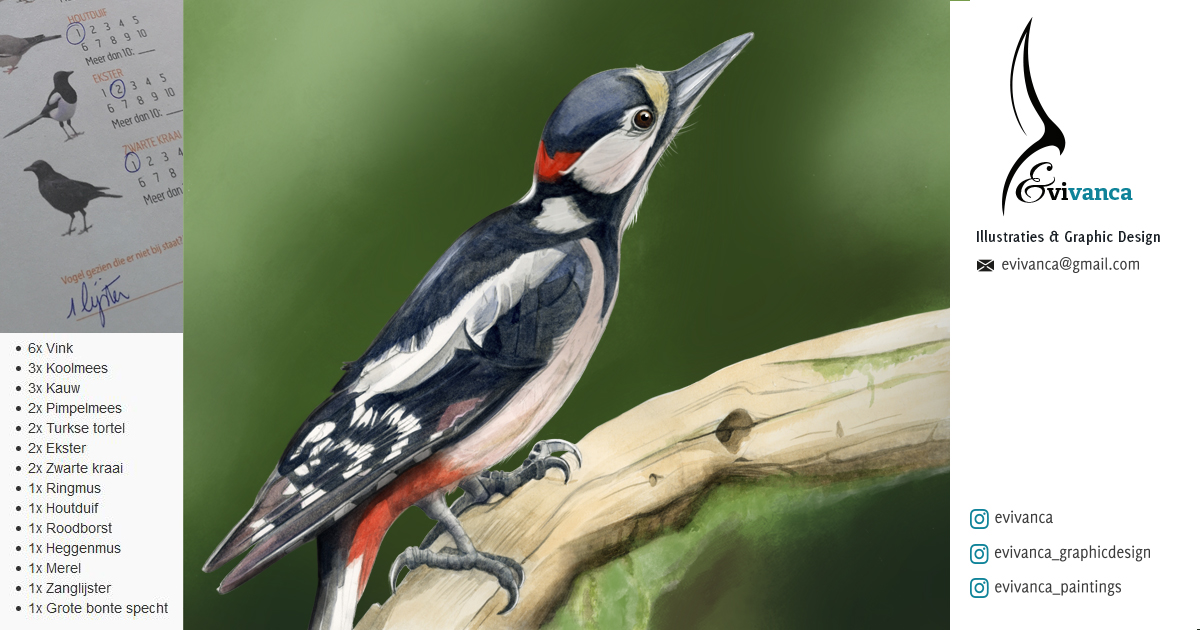 evivanca's tweet photo. I ❤️illustrating birds, like this Great spotted #woodpecker in #watercolors . Last weekend I did #birdcounting for #natuurpunt. 🐦First results are 1. Great tit 2. House sparrow 3. Jackdaw as most seen #birds in #Belgium. 
#Illustrator #nature #evivanca #painting #wildlifeartist https://t.co/GCPMPmA6OG