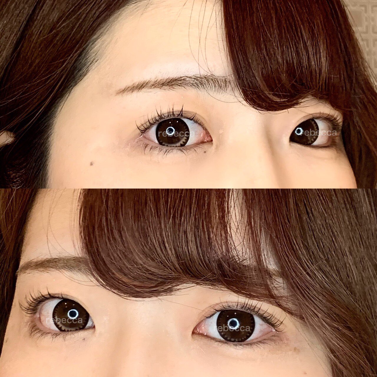Rebecca Eye Lash Rebeccalash Twitter