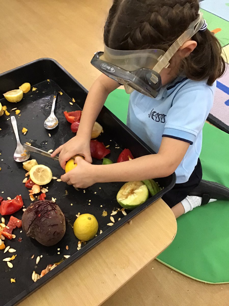 JESSJumeirahFS2's tweet photo. Where do seeds come from? #JESSJumRealLifeLearning #JESSJumSTEM #JESSJumLearning #EYFS https://t.co/EKxR7vJeXk