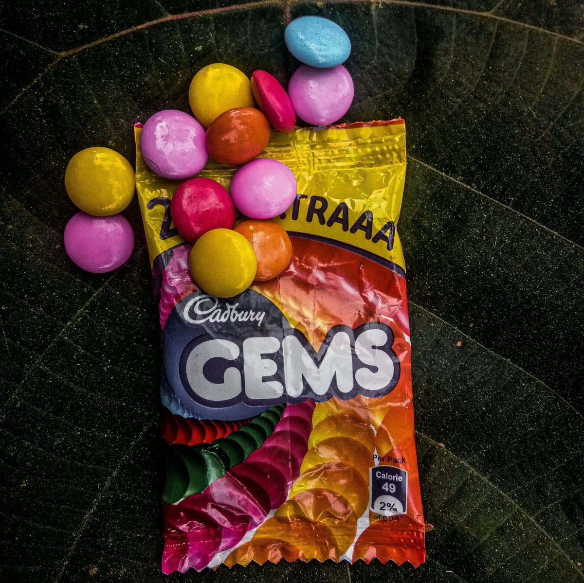 #Kerala #Photos #photographers #photography #Photoshoot #PhotoOfTheDay #photoshop #naturelovers #NaturalSelection #GEMSCOMPANY #PhotoModeMonday #PhotographyIsArt #photographer #photojournalism #PhoyisaChallange #photoshop #galleryofthepeople #gallary #photographers #Photos