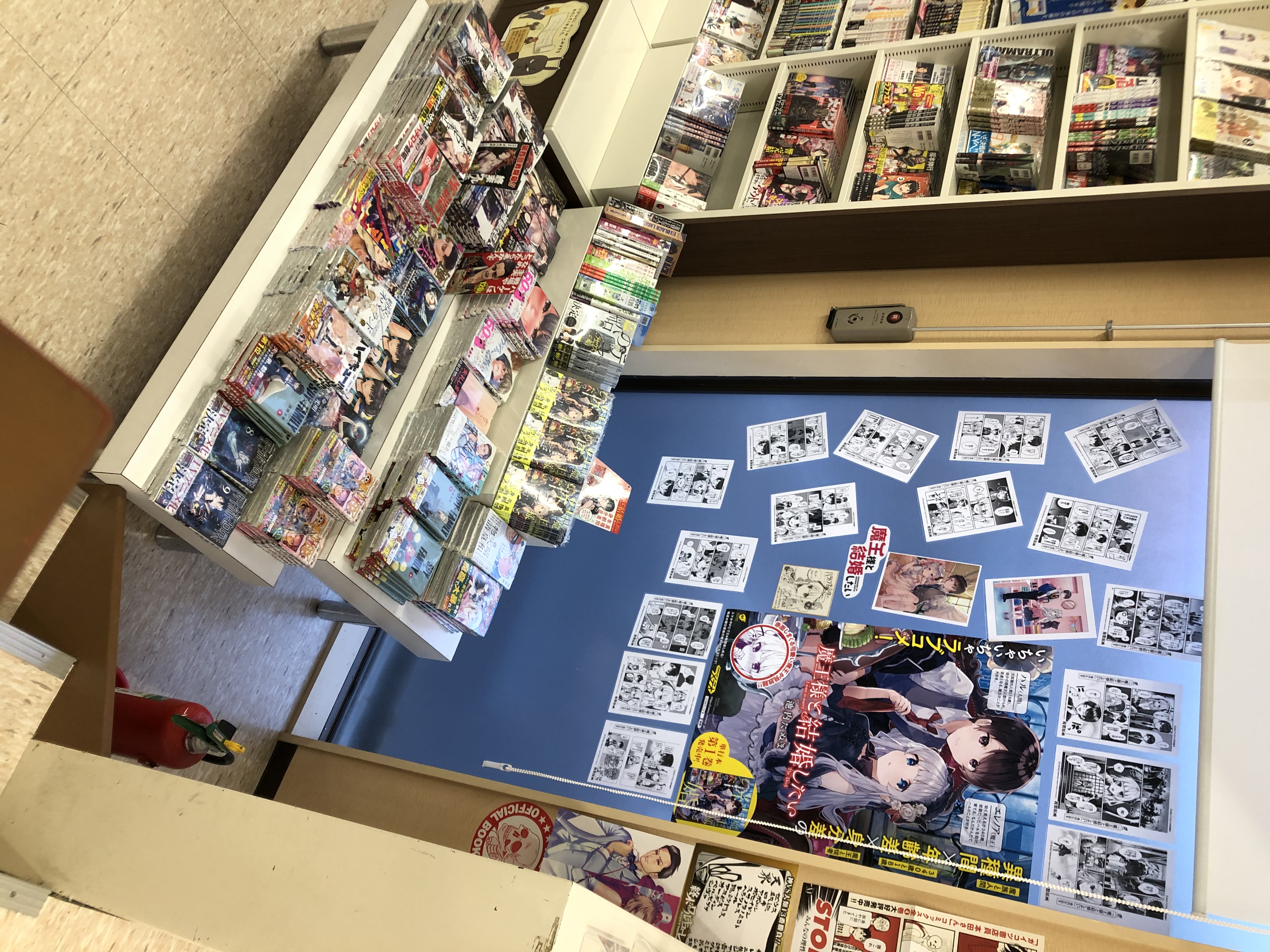 Comicメテオ 大人気 魔王と従者のいちゃいちゃラブコメ 魔王様と結婚したい T Co Xt4z86o1yy 第 巻 T Co Fosyfwjedx 好評発売中ですが 作者の池内たぬま先生が山形在住という事で 山形の ハラトク書店さんにて大プッシュして